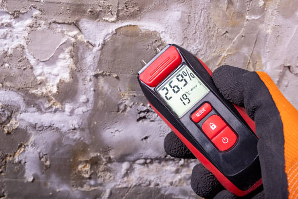 Best Water Damage Restoration  in Brookhaven, MS